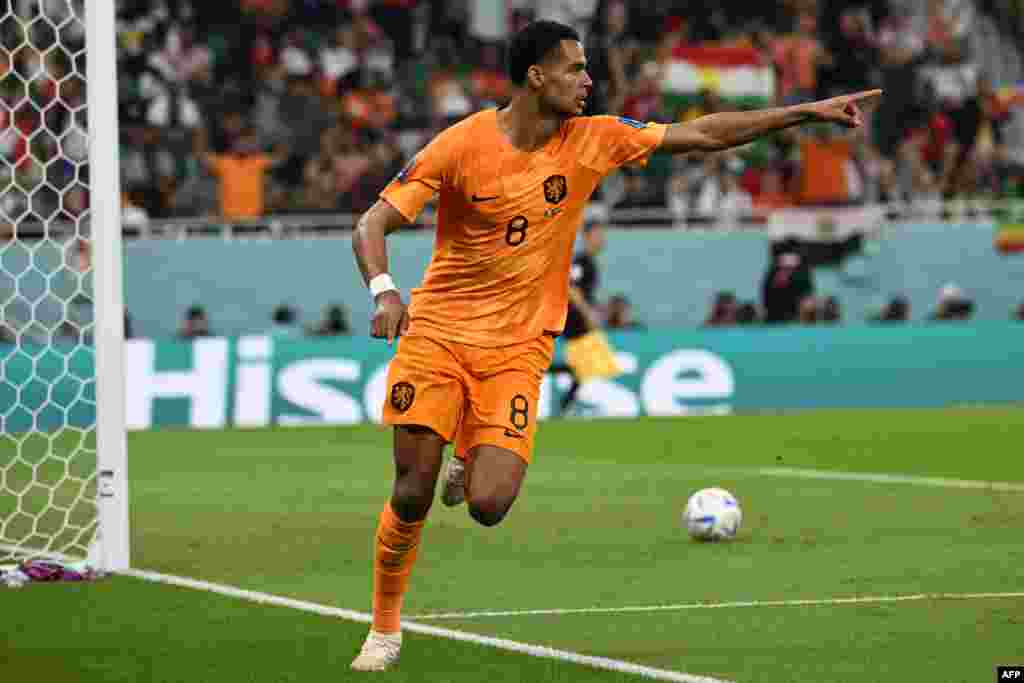 Attanquant ya Pays-Bas/ Netherkand #08 Cody Gakpo azali kosepela nsima na koningisa monyama na mongete na match ya ekolo na ye na ba Lions ya Teranda ya Sénégal ba match ya yambo ya groupe A ya Coupe du monde, Mondial Qatar 2022 na stade Al-Thumama, Doha,
