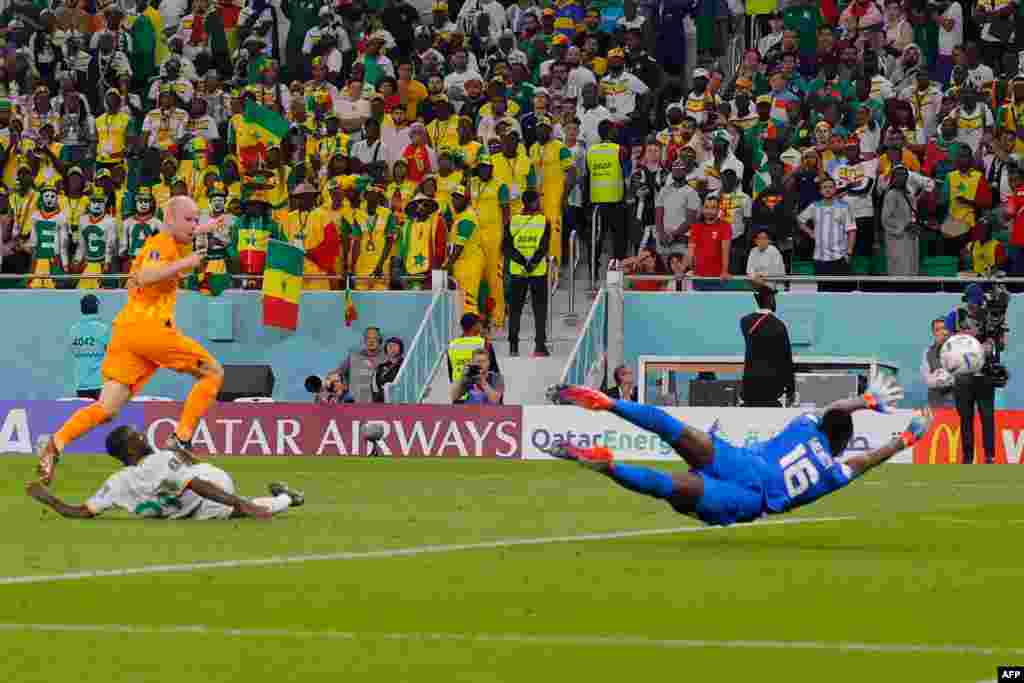 Mayambi ya Sénégal #16 Edouard Mendi alandi ndembo kasi azwi yango ne mpe mongete mokoti nsima na milieu ya terrain ya Netherland #14 Davy Klaassen kobeta mobombo na match ya yambo ya groupe A ya Mondial Qatar 2022, stade Al-Thumama, Doha, 21 novembre 202