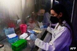 Peneliti hewan Monserrat Elemi Garcia di laboratorium studi pencegahan zoonosis "El Dorado" Fakultas Kedokteran Hewan Universitas Otonom Meksiko (UNAM) di Mexico City, 27 Maret 2023. (Pedro PARDO / AFP)