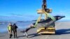 In this photo provided by the Department of Conservation rangers Jim Fyfe and Tūmai Cassidy walk alongside what is believed to be a rare spade-toothed whale, on July 5, 2024, after its was found washed ashore on a beach near Otago, New Zealand. 