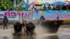 Para joki berkompetisi dalam festival balap kerbau tahunan Chonburi, provinsi Chonburi, Thailand, 6 Agustus 2023. (REUTERS/Athit Perawongmetha)