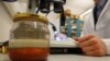 A jar containing saffron preserved in water that was retrieved from the wreck of a 15th century Danish warship, the Gribshunden, after more than 500 years on the seabed, sits in a laboratory in Lund University, Denmark, March 2, 2023. 