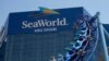 SeaWorld Buka Taman Bebas Paus Pembunuh di UEA
