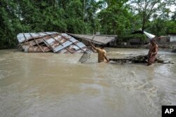 Penduduk desa menyelamatkan barang-barang dari rumah mereka yang rusak akibat banjir di desa Bali, sebelah barat Guwahati, India, Jumat, 23 Juni 2023. (AP/Anupam Nath)