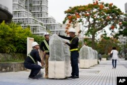 Petugas di Naha, Jepang selatan, menutupi tanaman dengan jaring untuk persiapan menghadapi Topan Mawar, saat bergerak menuju kepulauan Okinawa, Rabu, 31 Mei 2023. (AP/Hiro Komae)