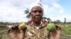 FILE - Farmer Martha Waema, 62, poses for a photo holding a tomato and orange in her 1.2-hectare farm that was left submerged by weeks of relentless rainfall in Machakos, Kenya, May 8, 2024.