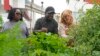 FILE - Bella McGowan, right, works at a community garden with local residents Rico De Rixey, center, and his wife, Geraldine Brand, April 13, 2023, in Los Angeles. 