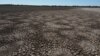 FILE - The lagoon of Santa Olalla at Donana National Park in southern Spain, Aug. 22, 2022. Handout via Reuters/Estacion Biologica de Donana (EBD-CSIC)