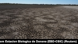 FILE - The lagoon of Santa Olalla at Donana National Park in southern Spain, Aug. 22, 2022. Handout via Reuters/Estacion Biologica de Donana (EBD-CSIC)