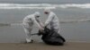 FILE - Municipal workers collect dead pelicans on Santa Maria beach in Lima, Peru, Nov. 29, 2022. Thousands of pelicans have died of bird flu along the Pacific in Peru, according to The National Forest and Wildlife Service.