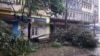 Trees are strewn across a street in Quelimane, Mozambique, March 11, 2023.