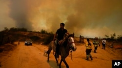 FILE - A resident flees an encroaching forest fire in Vina del Mar, Chile, Feb. 3, 2024.