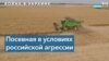 У Украины достаточно запасов сельскохозяйственной продукции 