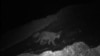 Snow Leopard Photographs Cheer Wildlife Conservationists in Kashmir