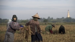 ဘရာဇီးကမ္ဘာ့ဖလားနဲ့ ခရီးသွားလုပ်ငန်း