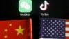 美中国旗与tiktok和微信的app