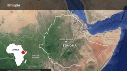 የወለንጭቲ እና ቢሾፍቱ ከተሞች ጥቃት 