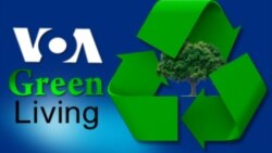 Greencoin Ubah Perilaku Masyarakat Terhadap Lingkungan