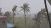 একটি হ্যান্ডআউট ভিডিও থেকে নেয়া এই স্ক্রিন গ্র্যাবে মোজাম্বিকের জাম্বোজিয়ার কুইলিমানে সাইক্লোন ফ্রেডির আঘাতে গাছের ডালগুলো দুলছে। ১২ মার্চ, ২০২৩।