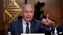 Головний інфекціоність США Ентоні Фаучі