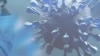 瑞士使馆发布寻人启事揭穿谎言后 中国官媒急撤有关瑞士生物学家的报道