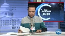 Caawa iyo Dunida