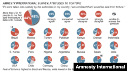 Amnesty International, worldwide attitudes to torture