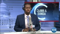 Caawa iyo Dunida