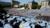 Upacara wisuda Universitas Columbia di New York. (Foto: AP)
