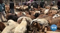 ከምሽቱ 3:00 የአማርኛ ዜና